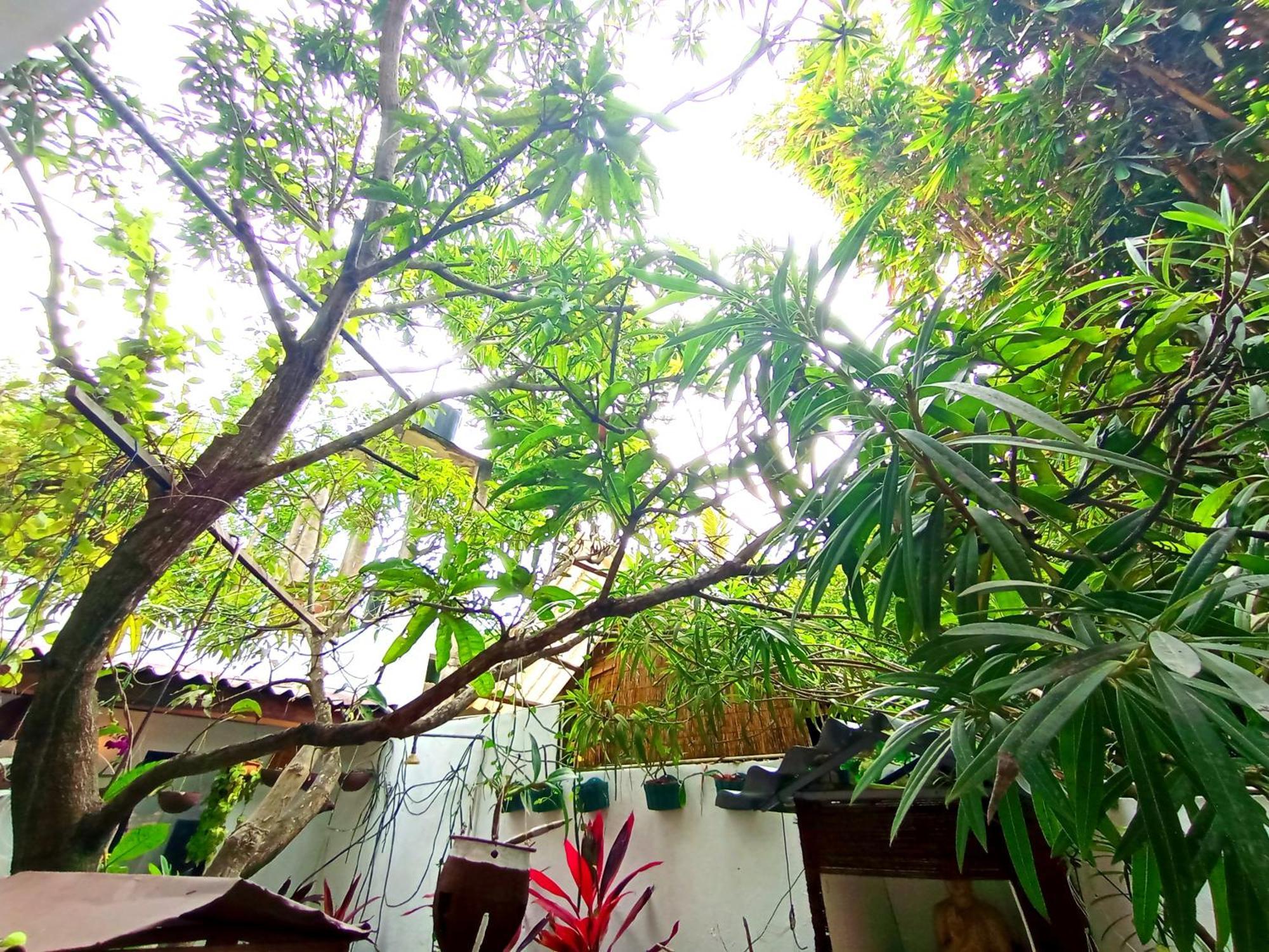 Ramesh Guesthouse Mirissa Exterior foto
